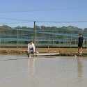 Jetty to access pond drainage, good idea for winter!