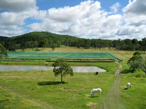 Farm lifestyle