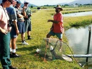  Redclaw crayfish farm visit