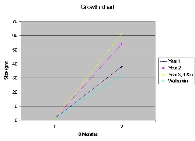 Redclaw crayfish Selective Breeding Project